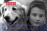 PIENSOS COX & Comida y complementos para mascotas