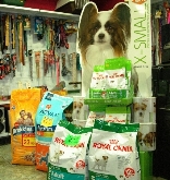 Tiendas de mascotas Vida Animal
