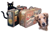 Tiendas de mascotas Vida Animal