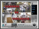 Servicios Desarrollados de Seguridad SDS