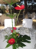 Margarita Floristerias Elche