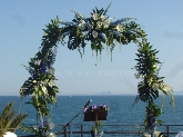Margarita Floristerias Elche