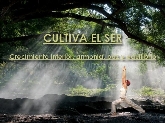 Herbia Bienestar Meditación y Yoga en Elche