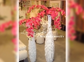 La Pérgola Floristería y Decoración en Almoradí y Algorfa
