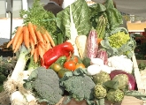 Riquelme frutas y verduras en Alicante