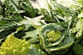 Riquelme frutas y verduras en Alicante