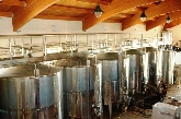 Bodegas Cerdá Alicante