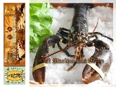 Pilsen Restaurante Mariscos y Arroces