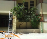 Alarmas Elche sin cuota - Instaladores SiiS