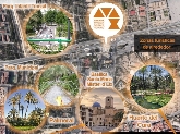 Avapor Cafeterías Centro de Elche