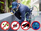 Control de plagas en Alicante Sanielx