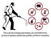Control de plagas en Alicante Sanielx