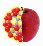 Nutrición ortomolecular: los nutrientes suplementarios