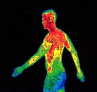 La hipertermia en el ser humano