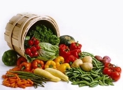 La alimentación biológica