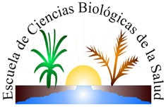 Todo sobre la agricultura ecológica