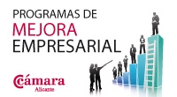 Programas de Mejora Empresarial 2014