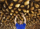 También existe la 'burbuja' del jamón.