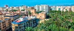 El Colegio de Arquitectos de Alicante colaborará con el Ayuntamiento en los trabajos previos a la revisión del PGOU
