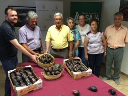 Campaña de brevas e higos
