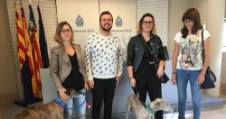 Elche celebrará su primera feria de adopción de mascotas