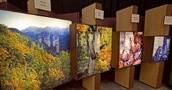 La exposición “El Bosque, mucho más que madera” recibe a más de 3.100 visitantes durante su primera semana