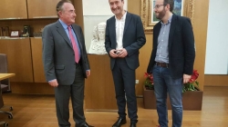 630 jóvenes participaron en el programa de empleo juvenil del Ayuntamiento de Elche y la Cámara de Comercio  11/01/17