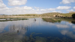 Actividades en el Clot de Galvany para celebrar el Día de la Educación Ambiental