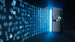 Se ha detectado una fuga de datos masiva, que afecta a 161 dominios en internet