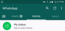 Los 7 peligros del nuevo sistema de estados de WhatsApp