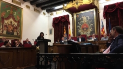 El pleno impulsa por unanimidad la creación del Consell Local de Cultura en Elche