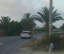 La Policía Local de Elche detiene a un conductor que arrolló a un ciclista