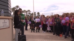 Rutas Lila – Elche se mueve contigo