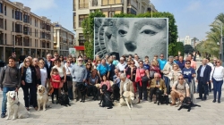 Elche se convierte en sede valenciana del Día Internacional del Perro Guía