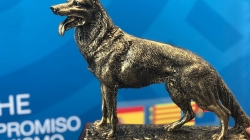 Unidad Canina gana Campeonato Nacional de Perros Detectores de Sustancias