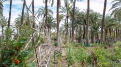 El Ayuntamiento de Elche apoya el trasvase de 20 hectómetros cúbicos de agua del Tajo