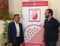 El Ayuntamiento vuelve a incrementar la ayuda para la promoción de la Granada Mollar hasta los 30.000 euros