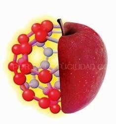 Nutrición ortomolecular: los nutrientes suplementarios