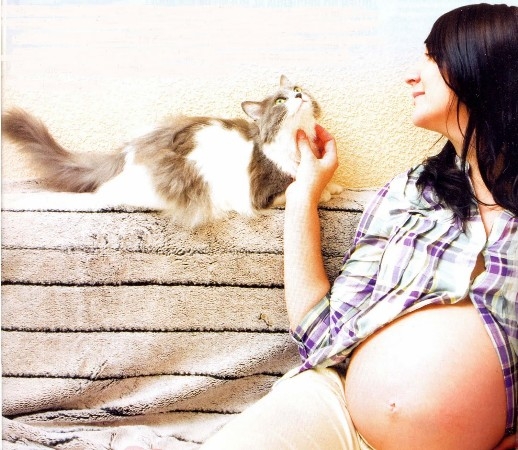 Toxoplasmosis, la enfermedad de los gatos y las embarazadas