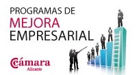 Programas de Mejora Empresarial 2014