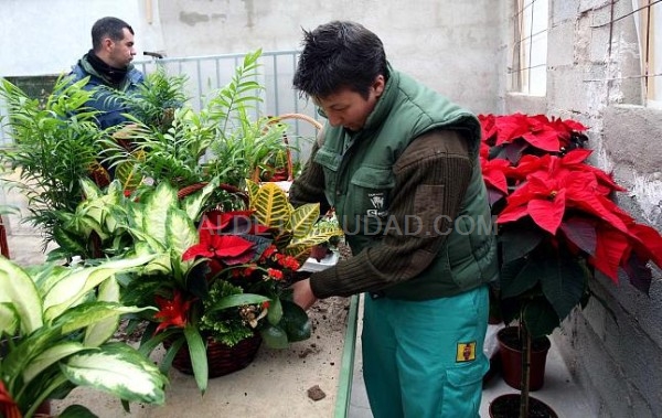 Un detalle solidario.