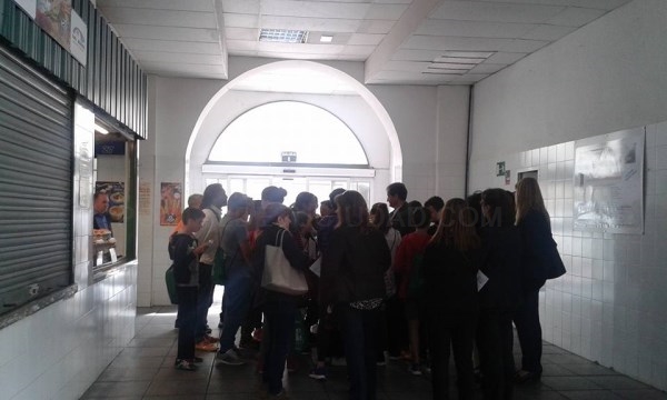 Los estudiantes de 6º de Primaria recibirán pautas de alimentación en el Mercado de Abastos