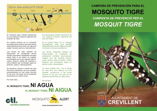 El Ayuntamiento de Crevillent realiza una campaña de prevención y control del mosquito tigre