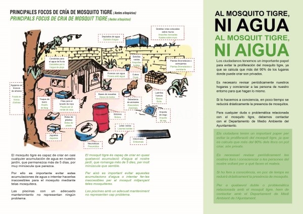 El Ayuntamiento de Crevillent realiza una campaña de prevención y control del mosquito tigre