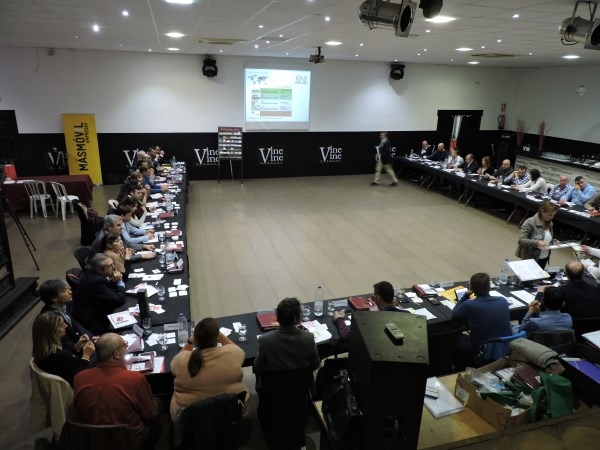 BNI Superación Elche cierra el mes de Noviembre facturando 114.000 euros