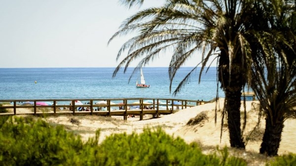 Hasta 5 playas de Elche han conseguido la bandera Azul de calidad