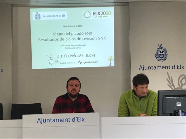 Cerco al picudo en Elche