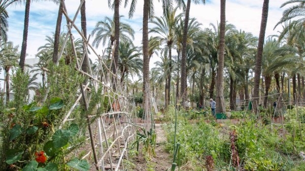 El Ayuntamiento de Elche apoya el trasvase de 20 hectómetros cúbicos de agua del Tajo