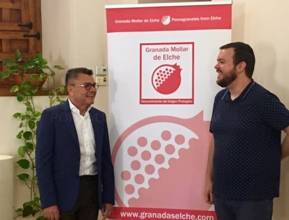 El Ayuntamiento vuelve a incrementar la ayuda para la promoción de la Granada Mollar hasta los 30.000 euros