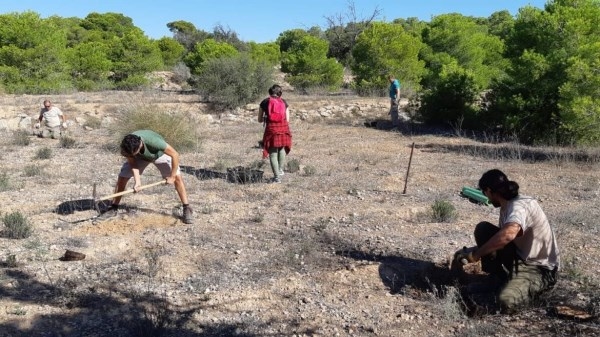 El Ayuntamiento y Conselleria colaboran en la introducción de especies de flora catalogada en el Clot de Galvany